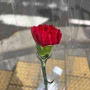 ヒメ日記 2025/05/12 21:26 投稿 さくら 東京妻next (京都グループ)