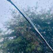 ヒメ日記 2025/07/17 05:25 投稿 さくら 東京妻next (京都グループ)