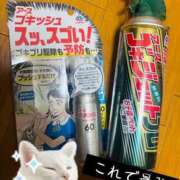 ヒメ日記 2025/08/04 15:16 投稿 さくら 東京妻next (京都グループ)