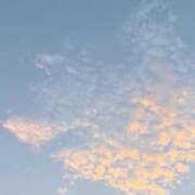 ヒメ日記 2025/08/05 05:26 投稿 さくら 東京妻next (京都グループ)