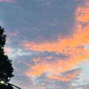 ヒメ日記 2025/08/13 05:36 投稿 さくら 東京妻next (京都グループ)