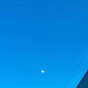 ヒメ日記 2025/08/19 05:06 投稿 さくら 東京妻next (京都グループ)