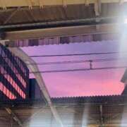 ヒメ日記 2025/09/04 05:24 投稿 さくら 東京妻next (京都グループ)