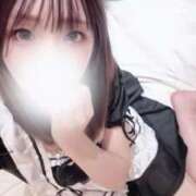 ヒメ日記 2025/10/14 07:26 投稿 さくら 東京妻next (京都グループ)