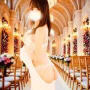 ヒメ日記 2025/12/19 11:06 投稿 さくら 東京妻next (京都グループ)