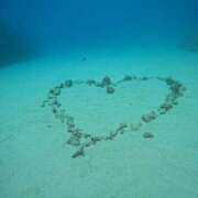 ヒメ日記 2025/02/27 17:49 投稿 ☆ほのか☆どうぞ間違いなく美女 プロポーション オキナワ