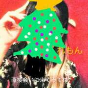 ヒメ日記 2025/02/19 02:54 投稿 れもん さくらん