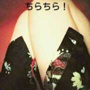 ヒメ日記 2025/02/20 07:18 投稿 れもん さくらん