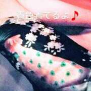 ヒメ日記 2025/02/23 10:23 投稿 れもん さくらん