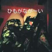 ヒメ日記 2025/02/24 03:03 投稿 れもん さくらん