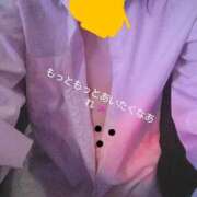 ヒメ日記 2025/04/03 04:16 投稿 れもん さくらん