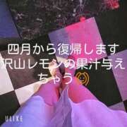 ヒメ日記 2025/04/09 11:25 投稿 れもん さくらん