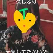 ヒメ日記 2025/06/02 14:43 投稿 れもん さくらん