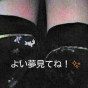 ヒメ日記 2025/06/03 03:01 投稿 れもん さくらん