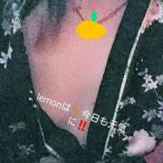 ヒメ日記 2025/06/04 04:11 投稿 れもん さくらん