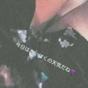 ヒメ日記 2025/06/06 21:22 投稿 れもん さくらん