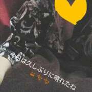 ヒメ日記 2025/06/16 12:08 投稿 れもん さくらん