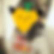 ヒメ日記 2025/06/26 07:04 投稿 れもん さくらん