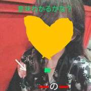 ヒメ日記 2025/06/29 11:35 投稿 れもん さくらん