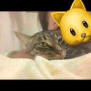 ヒメ日記 2025/02/19 12:01 投稿 花森かのん 多恋人倶楽部