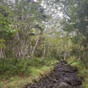 ヒメ日記 2025/09/18 13:03 投稿 花森かのん 多恋人倶楽部