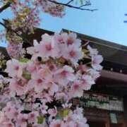 ヒメ日記 2025/05/23 21:18 投稿 土屋 モアグループ春日部人妻城