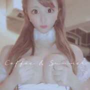 ヒメ日記 2025/07/23 20:58 投稿 きらら ちゃんこ大阪伊丹空港豊中店