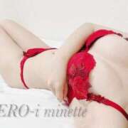 ヒメ日記 2025/03/29 11:06 投稿 ミネ ZERO-i