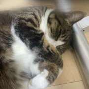 ヒメ日記 2025/04/24 21:33 投稿 ゆな 新横浜ちゃんこ