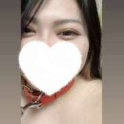 ヒメ日記 2025/02/22 03:22 投稿 はるね 八尾藤井寺羽曳野ちゃんこ