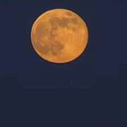 ヒメ日記 2025/12/28 19:32 投稿 いすか 新宿サンキュー