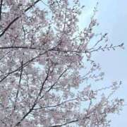 ヒメ日記 2026/04/01 16:29 投稿 天崎みつき OtoLABO～前立腺マッサージ（ドライオーガズム）専門店～