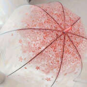 ヒメ日記 2025/05/02 14:15 投稿 河合すみれ DEEPS成田店