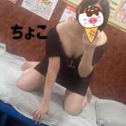 ヒメ日記 2025/03/22 14:59 投稿 ちょこ トマトなび