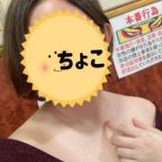 ヒメ日記 2025/03/30 01:28 投稿 ちょこ トマトなび