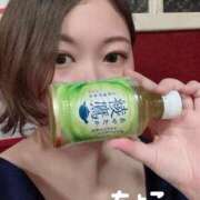 ヒメ日記 2025/03/31 18:38 投稿 ちょこ トマトなび