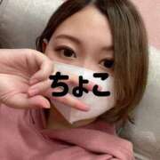 ヒメ日記 2025/04/20 18:16 投稿 ちょこ トマトなび