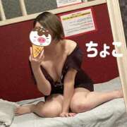 ヒメ日記 2025/04/20 21:23 投稿 ちょこ トマトなび