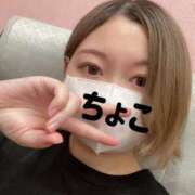 ヒメ日記 2025/04/21 15:10 投稿 ちょこ トマトなび