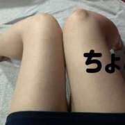 ヒメ日記 2025/04/21 17:54 投稿 ちょこ トマトなび