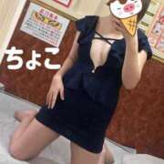 ヒメ日記 2025/06/06 14:57 投稿 ちょこ トマトなび