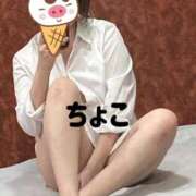 ヒメ日記 2025/06/06 17:10 投稿 ちょこ トマトなび