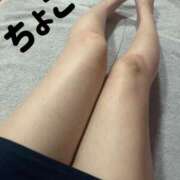 ヒメ日記 2025/06/06 17:52 投稿 ちょこ トマトなび