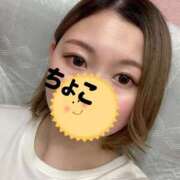 ヒメ日記 2025/06/14 18:16 投稿 ちょこ トマトなび