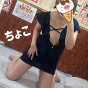 ヒメ日記 2025/06/28 21:34 投稿 ちょこ トマトなび