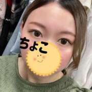 ヒメ日記 2025/06/29 15:02 投稿 ちょこ トマトなび