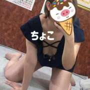 ヒメ日記 2025/06/29 16:27 投稿 ちょこ トマトなび