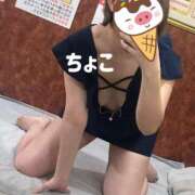 ヒメ日記 2025/06/30 15:27 投稿 ちょこ トマトなび