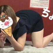 ヒメ日記 2025/07/03 14:20 投稿 ちょこ トマトなび