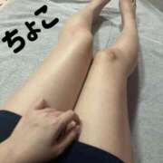 ヒメ日記 2025/07/03 14:28 投稿 ちょこ トマトなび